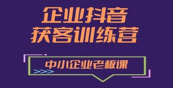 企业抖音营销获客增长训练营，中小企业老板必修课-梦凌网创