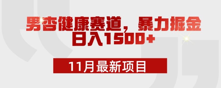 11月最新项目，男杏健康赛道，暴力掘金，日入1500+-梦凌网创