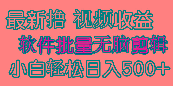 (9569期)发视频撸收益，软件无脑批量剪辑，第一天发第二天就有钱-梦凌网创
