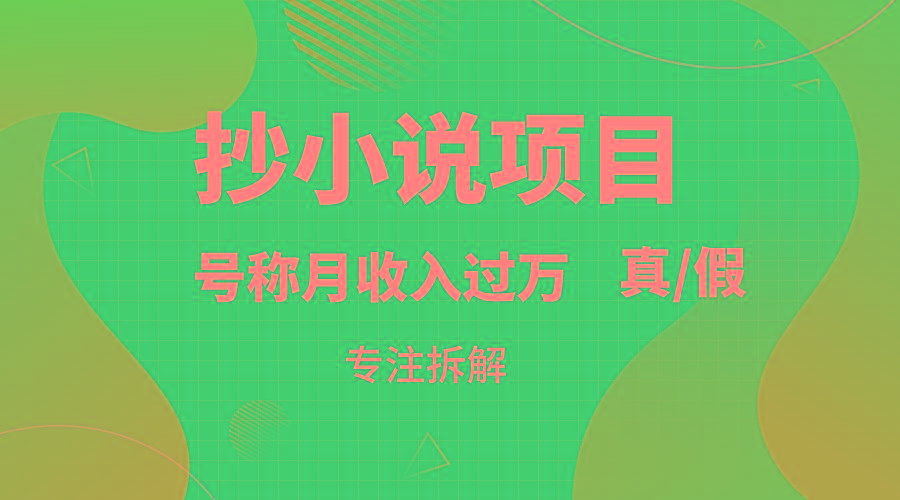 抄小说项目，号称月入过万，到底是否真实，能不能做，详细拆解-梦凌网创