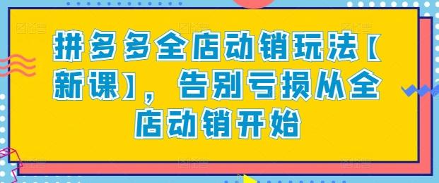 拼多多全店动销玩法【新课】，告别亏损从全店动销开始-梦凌网创