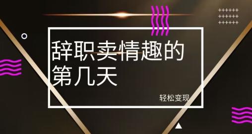 冷门赛道，辞职卖情趣的第几天，超暴力项目-梦凌网创