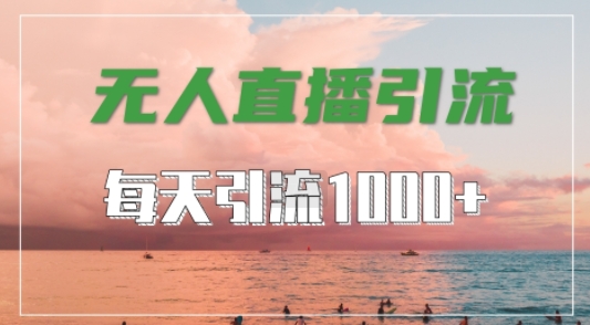 抖音快手视频号全平台通用，无人直播引流法，超暴力引流1000+高质量精准创业粉【揭秘】-梦凌网创