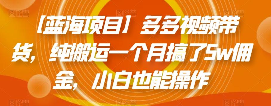 【蓝海项目】多多视频带货，纯搬运一个月搞了5w佣金，小白也能操作【揭秘】-梦凌网创