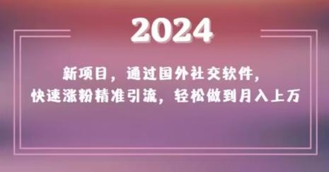 2024新项目，通过国外社交软件，快速涨粉精准引流，轻松做到月入上万【揭秘】-梦凌网创