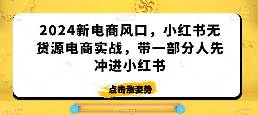 2024新电商风口，小红书无货源电商实战，带一部分人先冲进小红书-梦凌网创
