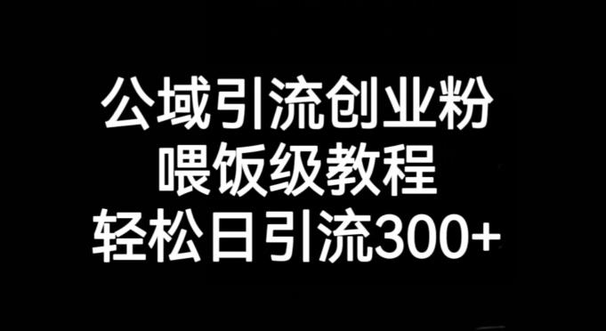 公域引流创业粉，喂饭级教程，轻松日引流300+【揭秘】-梦凌网创