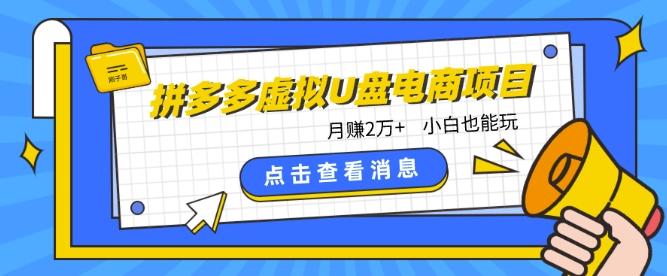 拼多多虚拟U盘电商红利项目：月赚2万+，新手小白也能玩-梦凌网创