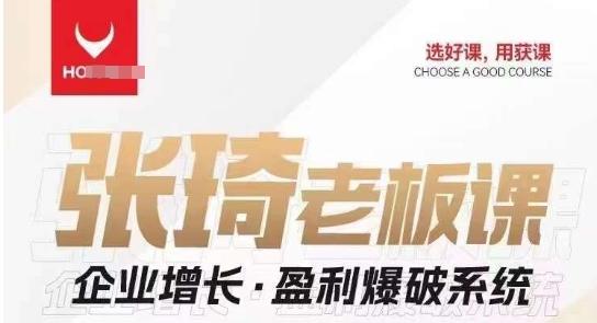 【组合课】张琦张琦老板企业增长·盈利爆破系统（直播专享）-梦凌网创