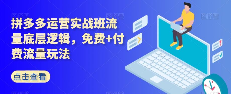 拼多多运营实战班流量底层逻辑，免费+付费流量玩法-梦凌网创