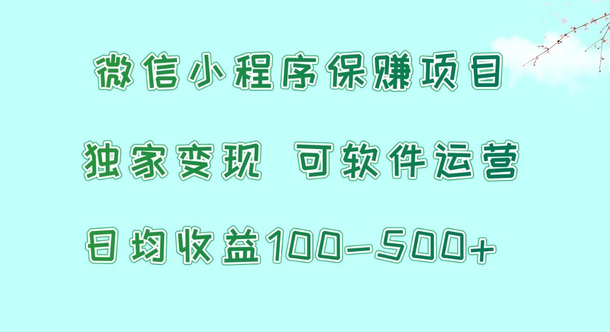 微信小程序保赚项目，日均收益100~500+，独家变现，可软件运营-梦凌网创