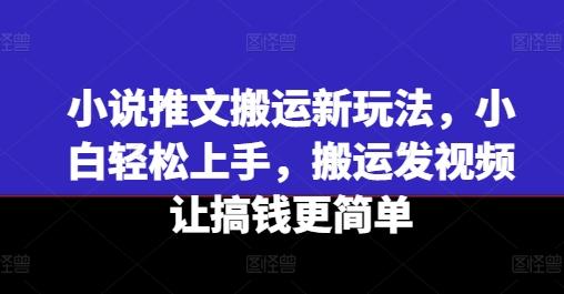小说推文搬运新玩法，小白轻松上手，搬运发视频让搞钱更简单-梦凌网创