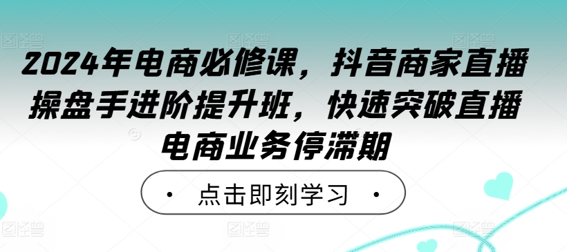 2024年电商必修课，抖音商家直播操盘手进阶提升班，快速突破直播电商业务停滞期-梦凌网创