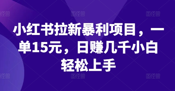 小红书拉新暴利项目，一单15元，日赚几千小白轻松上手【揭秘】-梦凌网创