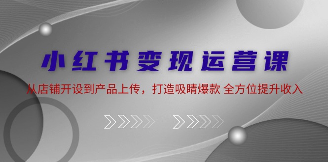 小红书变现运营课：从店铺开设到产品上传，打造吸睛爆款 全方位提升收入-梦凌网创