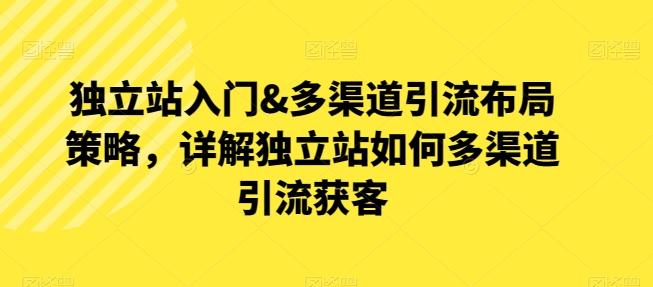 独立站入门&多渠道引流布局策略，详解独立站如何多渠道引流获客-梦凌网创