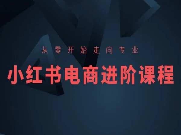 从零开始走向专业，小红书电商进阶课程-梦凌网创