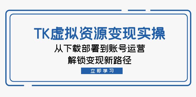 TK虚拟资料变现实操：从下载部署到账号运营，解锁变现新路径-梦凌网创