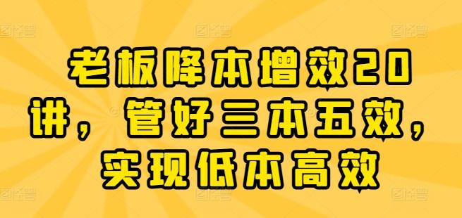 老板降本增效20讲，管好三本五效，实现低本高效-梦凌网创