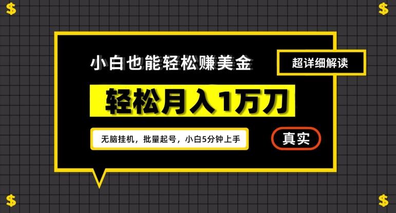 谷歌看广告撸美金2.0，无脑挂机，多号操作，月入1万刀【揭秘】-梦凌网创