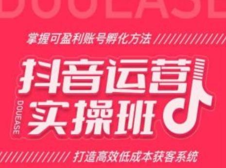 抖音运营实操班，掌握可盈利账号孵化方法，打造高效低成本获客系统-梦凌网创