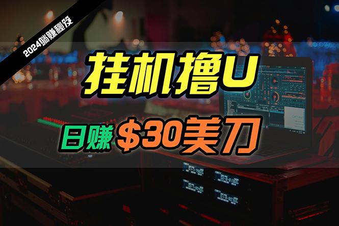 (10013期)日赚30美刀，2024最新海外挂机撸U内部项目，全程无人值守，可批量放大-梦凌网创