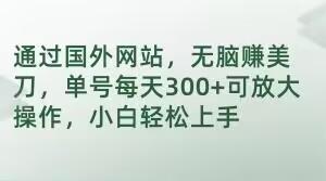 通过国外网站，无脑赚美刀，单号每天300+可放大操作，小白轻松上手【揭秘】-梦凌网创
