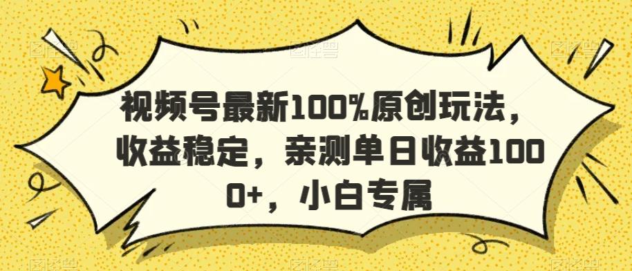 视频号最新100%原创玩法，收益稳定，亲测单日收益1000+，小白专属【揭秘】-梦凌网创