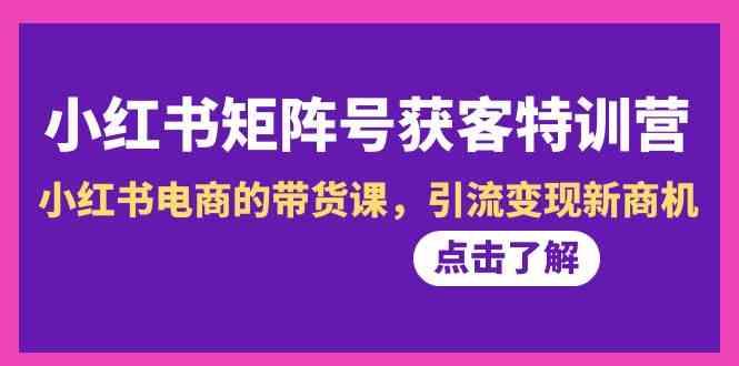 小红书矩阵号获客特训营-第10期，小红书电商的带货课，引流变现新商机-梦凌网创