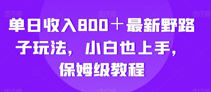 单日收入800＋最新野路子玩法，小白也上手，保姆级教程-梦凌网创