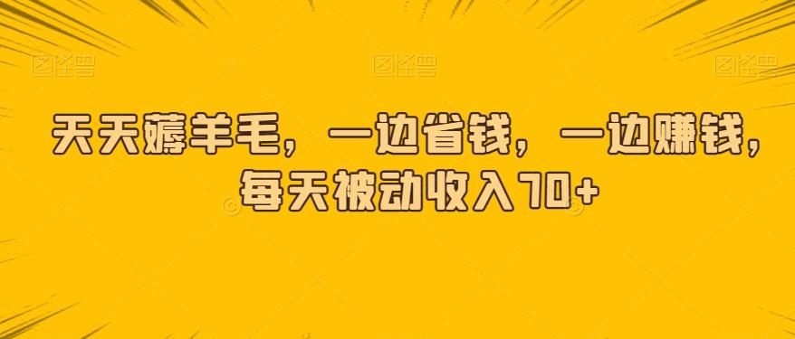 天天薅羊毛，一边省钱，一边赚钱，每天被动收入70+-梦凌网创