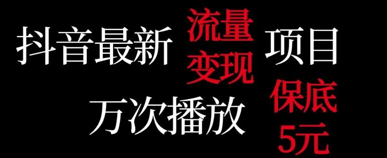 抖音流量变现，万次播放保底5元，额外收入-梦凌网创