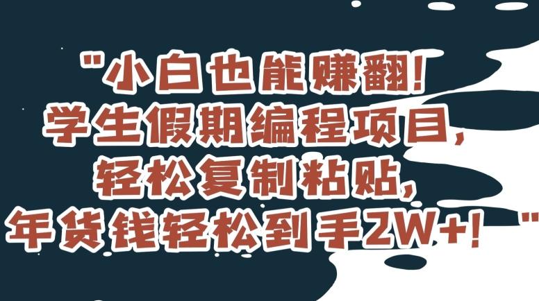 小白也能赚翻！学生假期编程项目，轻松复制粘贴，年货钱轻松到手2W+【揭秘】-梦凌网创