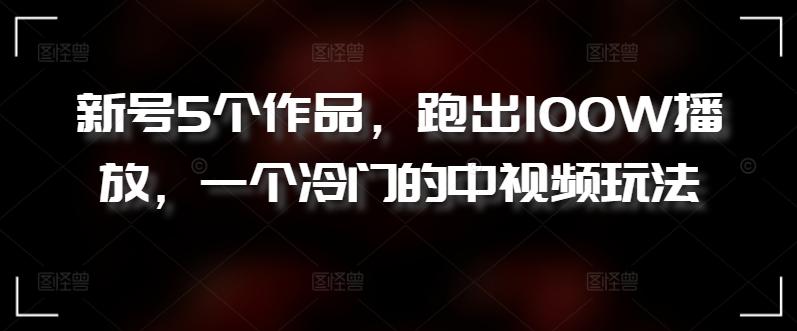 新号5个作品，跑出100W播放，一个冷门的中视频玩法【揭秘】-梦凌网创