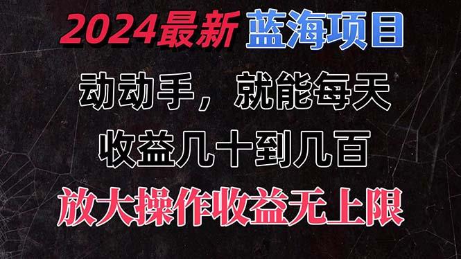 有手就行的2024全新蓝海项目，每天1小时收益几十到几百，可放大操作收…-梦凌网创