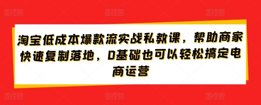 淘宝低成本爆款流实战私教课，帮助商家快速复制落地，0基础也可以轻松搞定电商运营-梦凌网创