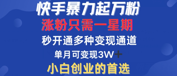 快手暴力起万粉，涨粉只需一星期，多种变现模式，直接秒开万合，单月变现过W【揭秘】-梦凌网创