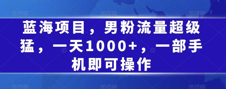 蓝海项目，男粉流量超级猛，一天1000+，一部手机即可操作【揭秘】-梦凌网创