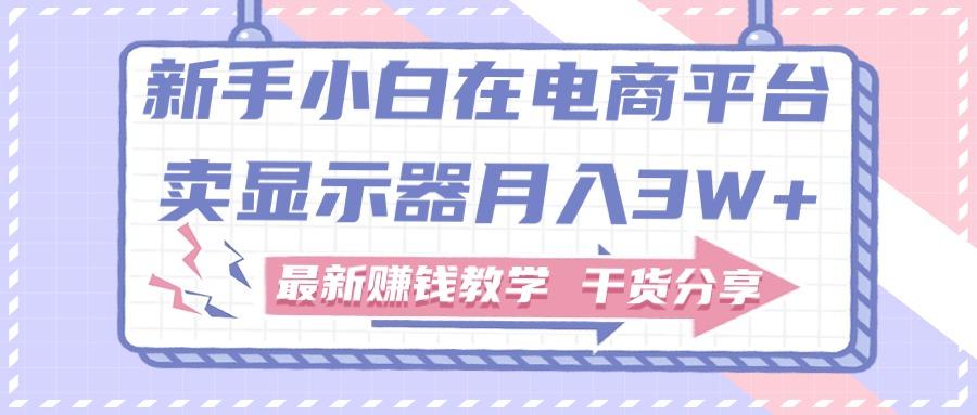 新手小白如何做到在电商平台卖显示器月入3W+，最新赚钱教学干货分享-梦凌网创