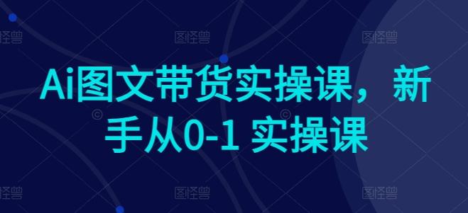 Ai图文带货实操课,新手从0-1 实操课
