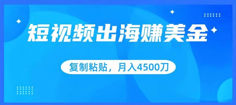 短视频出海赚美金，复制粘贴批量操作，小白轻松掌握，月入4500美刀【揭秘】-梦凌网创