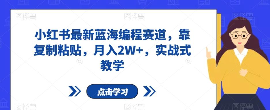 小红书最新蓝海编程赛道，靠复制粘贴，月入2W+，实战式教学【揭秘】-梦凌网创