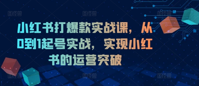 小红书打爆款实战课，从0到1起号实战，实现小红书的运营突破-梦凌网创