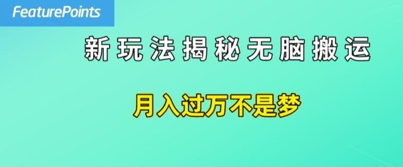 简单操作，每天50美元收入，搬运就是赚钱的秘诀【揭秘】-梦凌网创