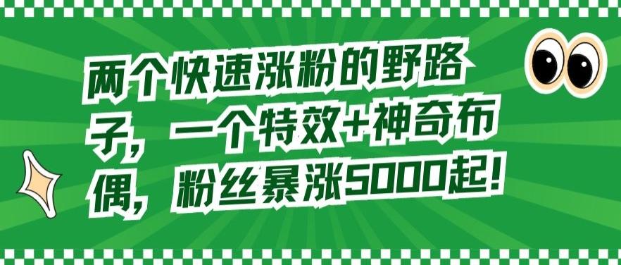 两个快速涨粉的野路子，一个特效+神奇布偶，粉丝暴涨5000起【揭秘】-梦凌网创