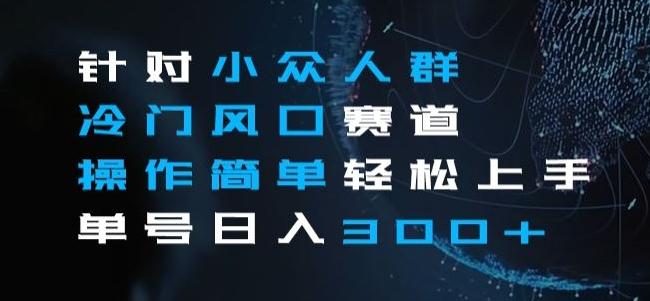 针对小众人群冷门风口赛道，操作简单轻松上手单号日入300+-梦凌网创