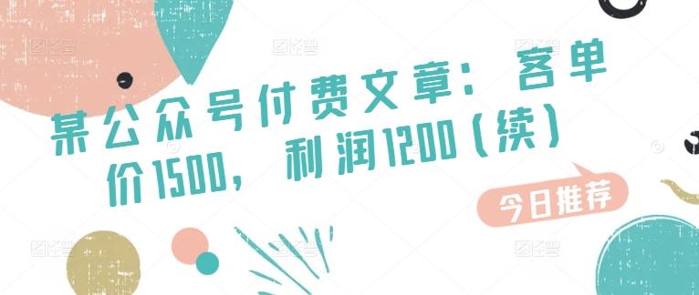 某公众号付费文章：客单价1500，利润1200(续)，市场几乎可以说是空白的-薪火元第一资源库