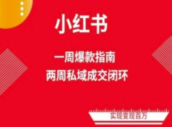 爆款小红书免费流量体系课程(两周变现)，小红书电商教程-梦凌网创