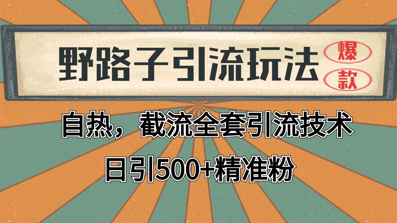 抖音小红书视频号全平台引流打法，全自动引流日引2000+精准客户-梦凌网创