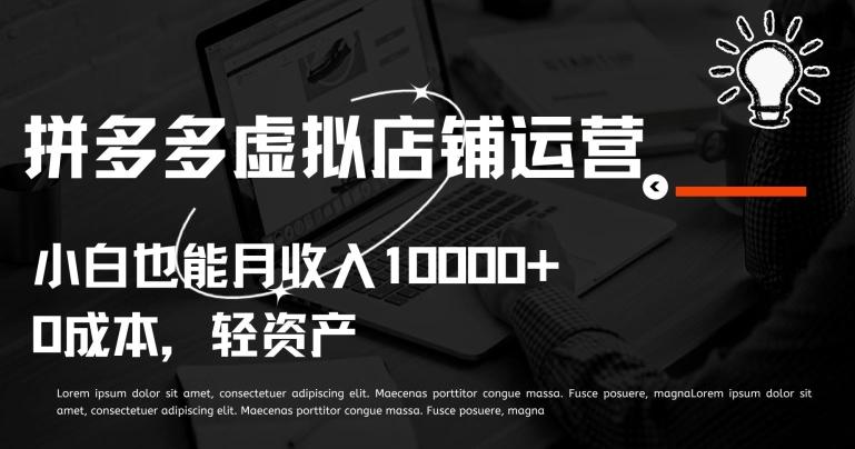 拼多多虚拟店铺运营小白也能月收入10000+【揭秘】-梦凌网创